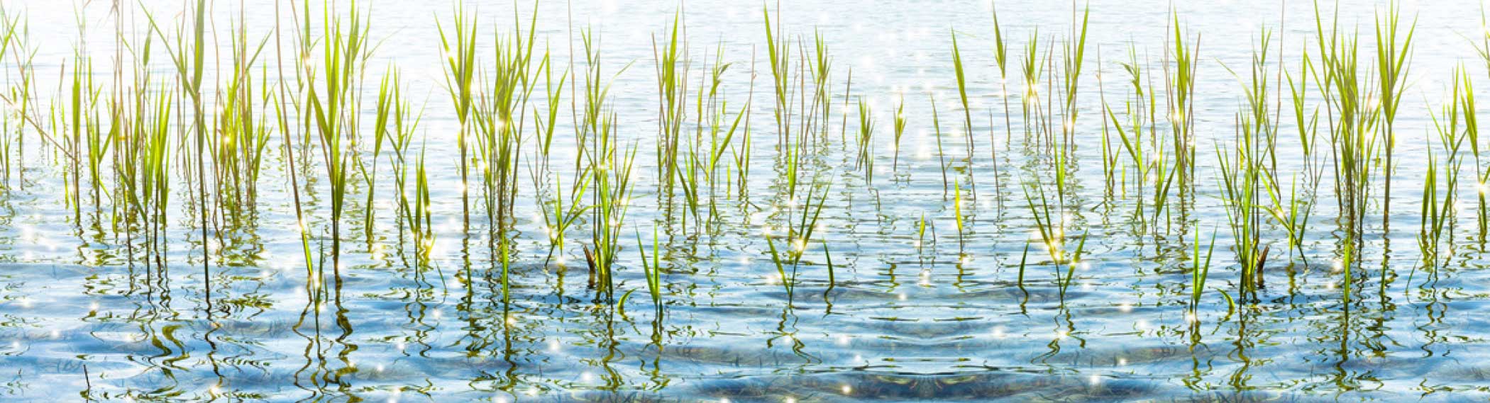 Management auf Zeit für Unternehmen und Verbände der Wasserwirtschaft